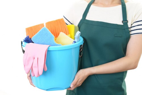 Professional cleaners in SE5 working in a modern home