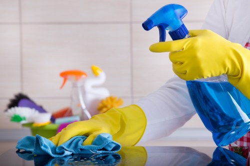 Professional oven cleaner service in SE5 removing grease from an oven interior