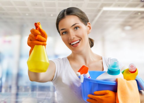 Reliable SE5 cleaners providing flexible domestic cleaning