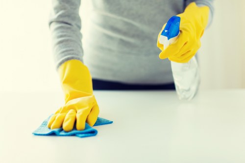 Bathroom descaling and sanitising during SE5 move-out cleaning