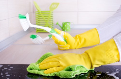 Quality domestic cleaning in Se5 for a healthier home environment