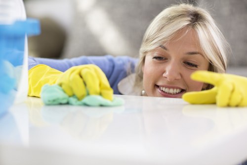 Step-by-step professional rug cleaning process in SE5