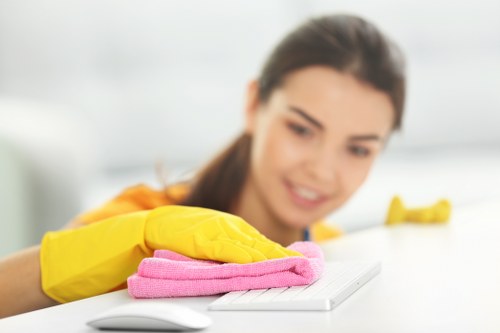Detailed SE5 oven cleaning service for racks and trays