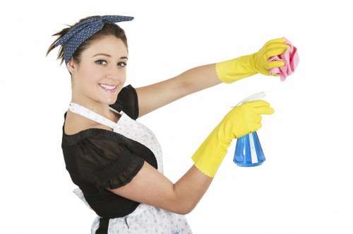 Streak-free window cleaning in SE5 with purified water equipment