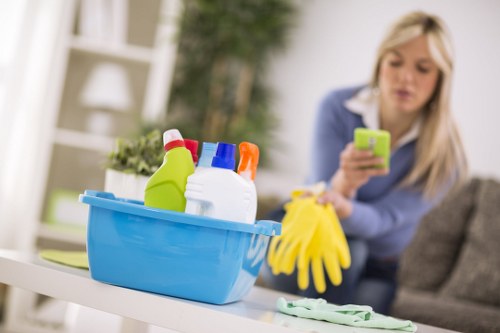 Keyboard navigation and accessible content structure for carpet cleaners in SE5