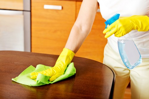 Professional deep cleaning in Se5 for home hygiene
